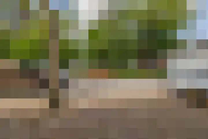 Kaneelhof 32 Hoogvliet Rotterdam thumbnail 10