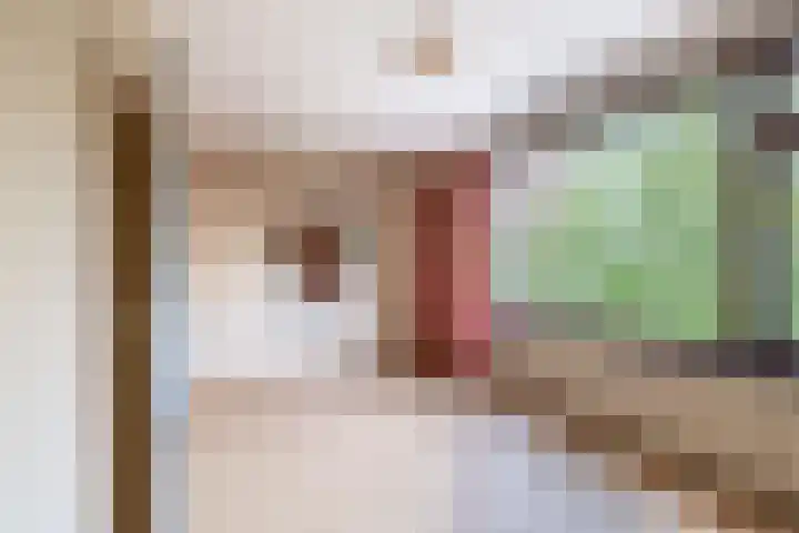 Kaneelhof 32 Hoogvliet Rotterdam thumbnail 36