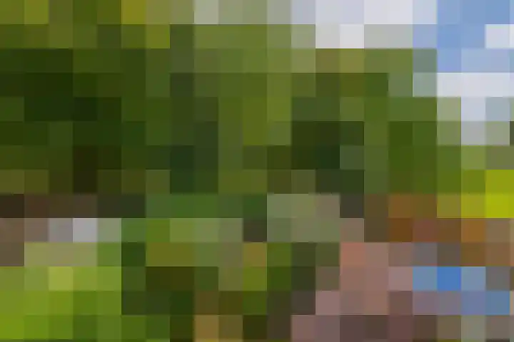 Kaneelhof 32 Hoogvliet Rotterdam thumbnail 4