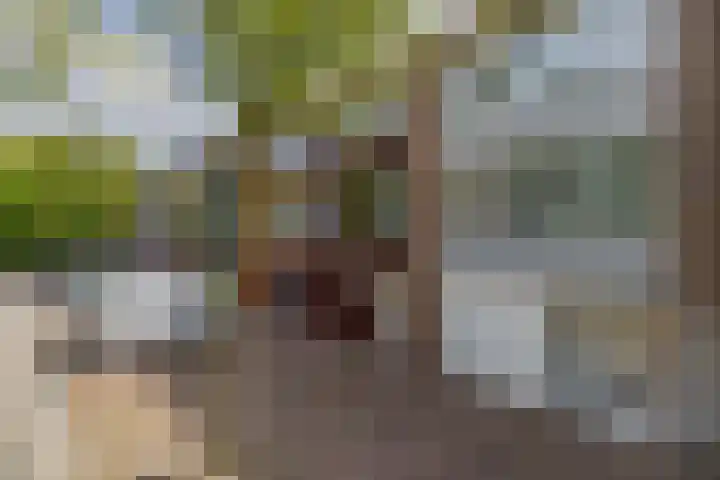Kaneelhof 32 Hoogvliet Rotterdam thumbnail 5