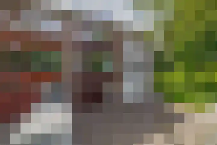 Kaneelhof 32 Hoogvliet Rotterdam thumbnail 7