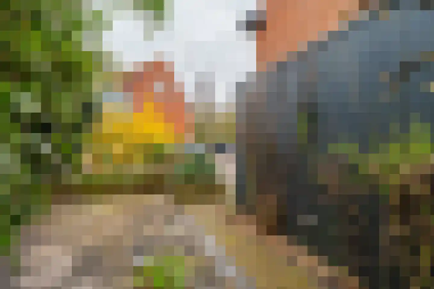Kaneelhof 7 Utrecht thumbnail 18