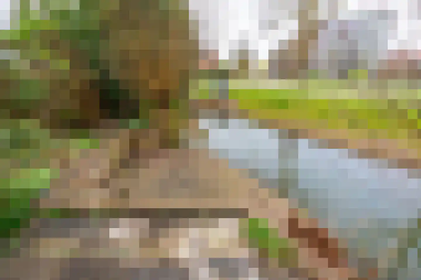 Kaneelhof 7 Utrecht thumbnail 19