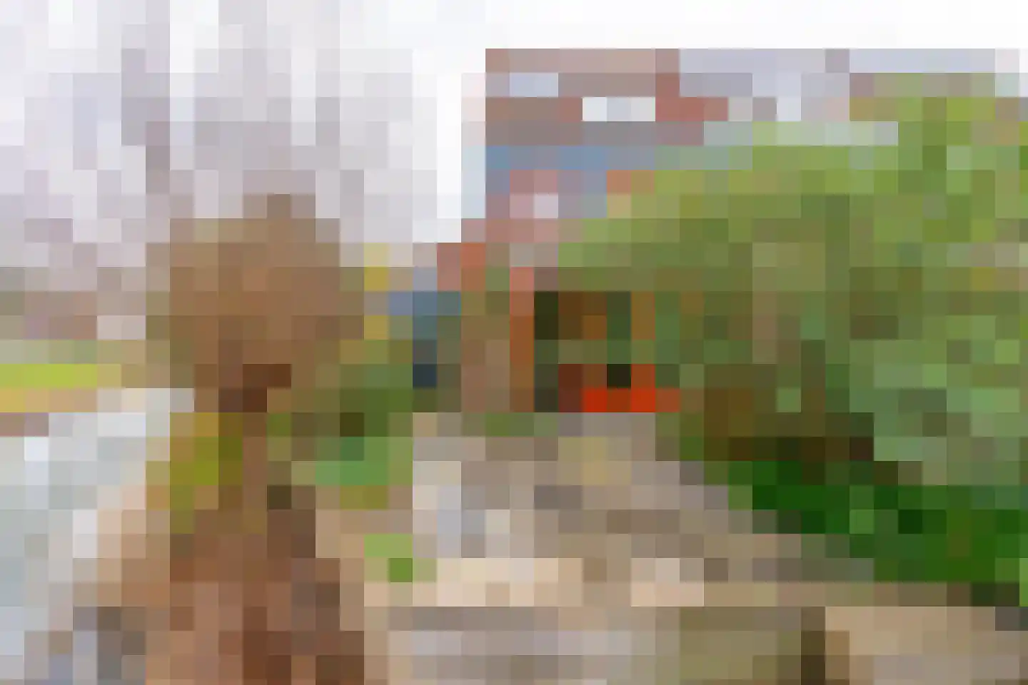 Kaneelhof 7 Utrecht thumbnail 20