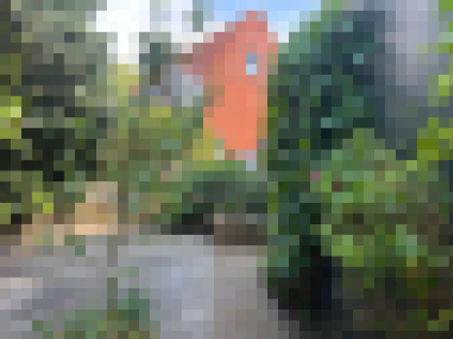 Kaneelhof 7 Utrecht thumbnail 20