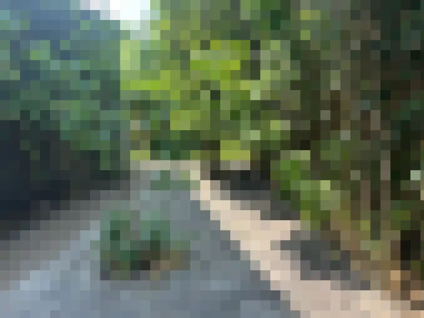 Kaneelhof 7 Utrecht thumbnail 21
