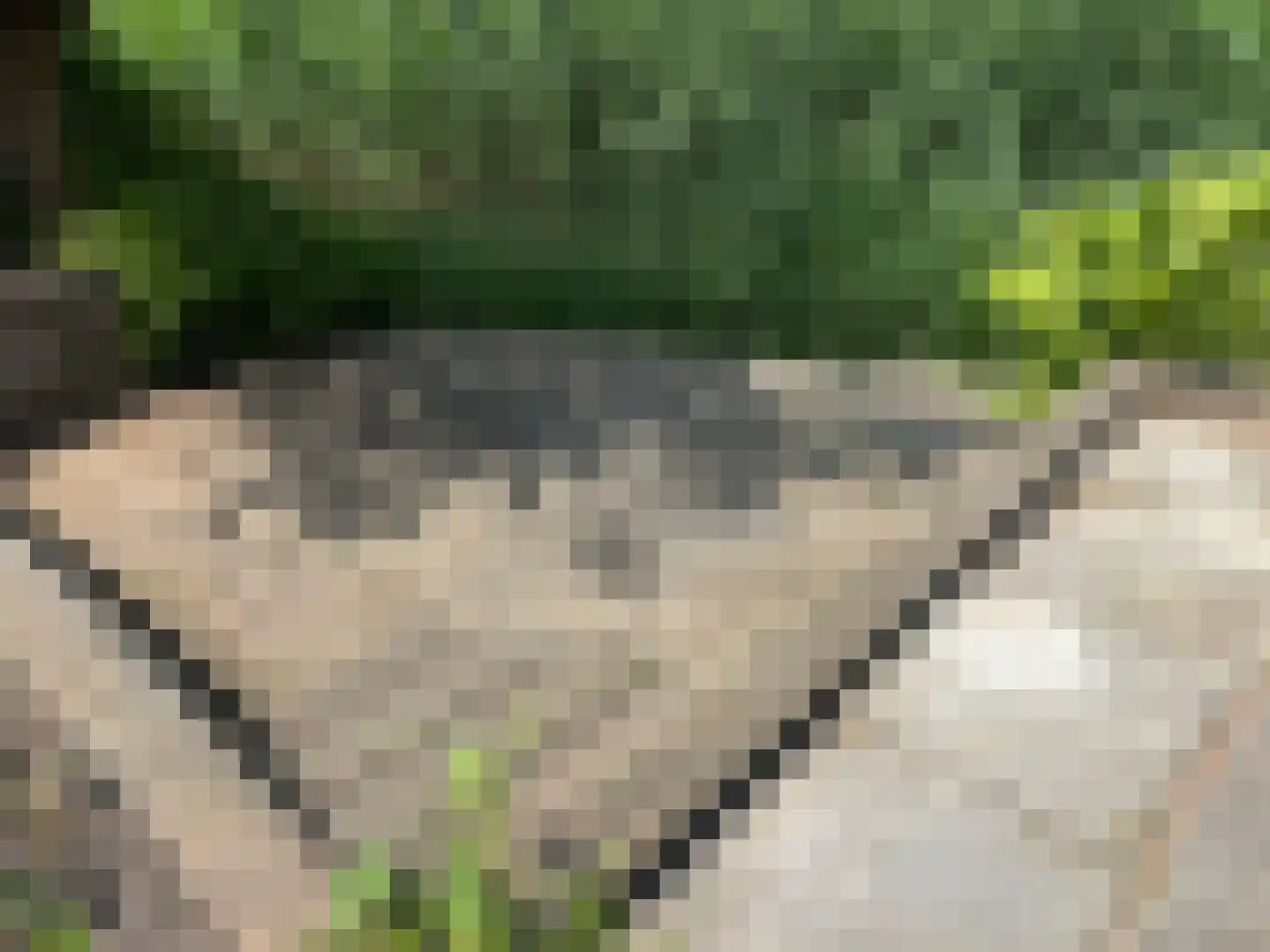 Kaneelhof 7 Utrecht thumbnail 22