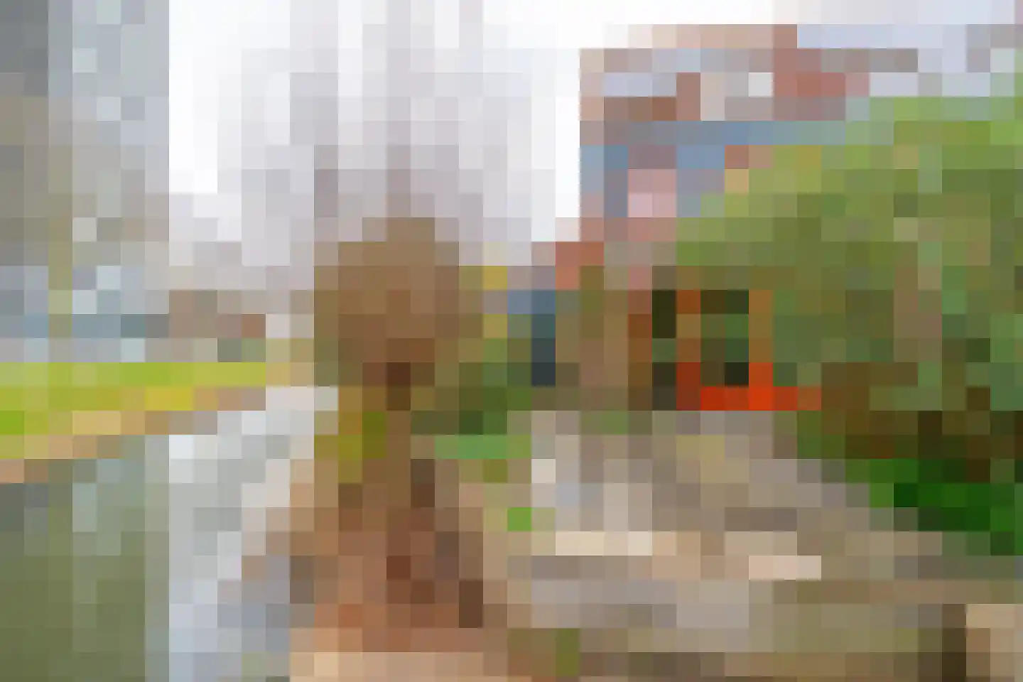 Kaneelhof 7 Utrecht thumbnail 22