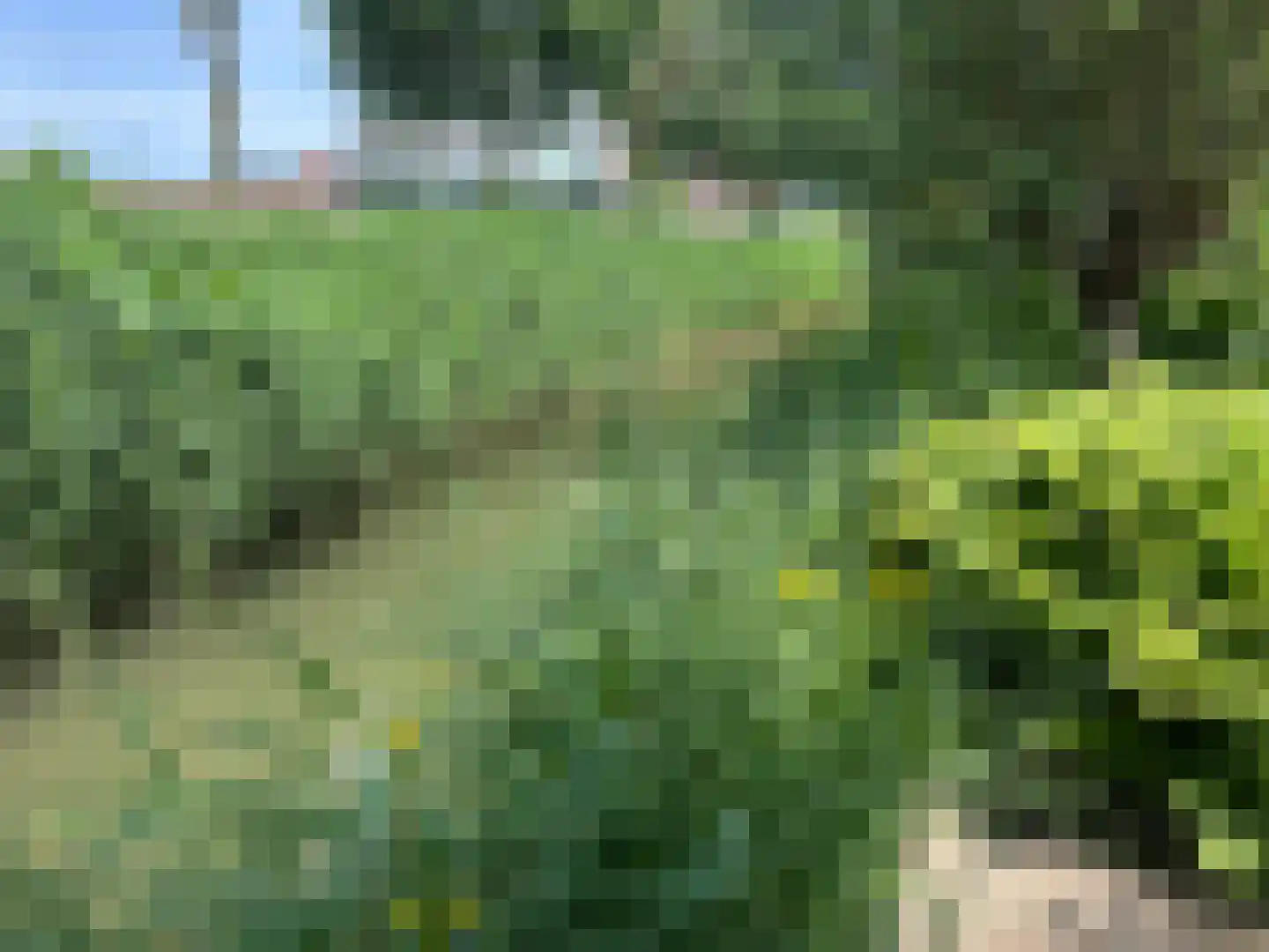 Kaneelhof 7 Utrecht thumbnail 23