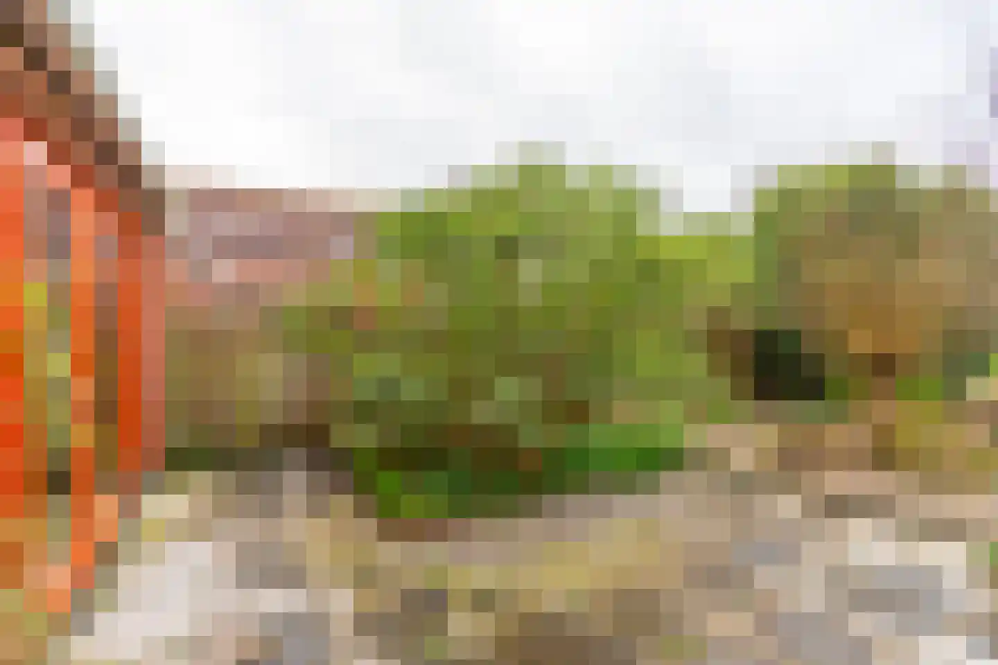 Kaneelhof 7 Utrecht thumbnail 24
