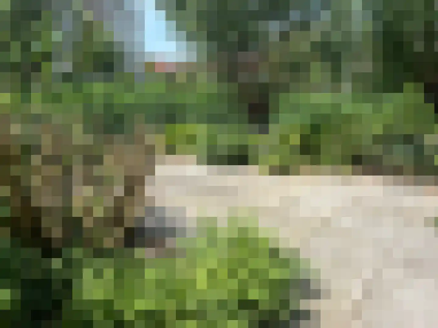 Kaneelhof 7 Utrecht thumbnail 24