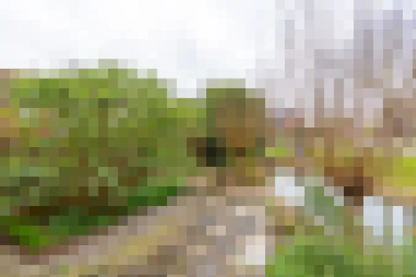 Kaneelhof 7 Utrecht thumbnail 25
