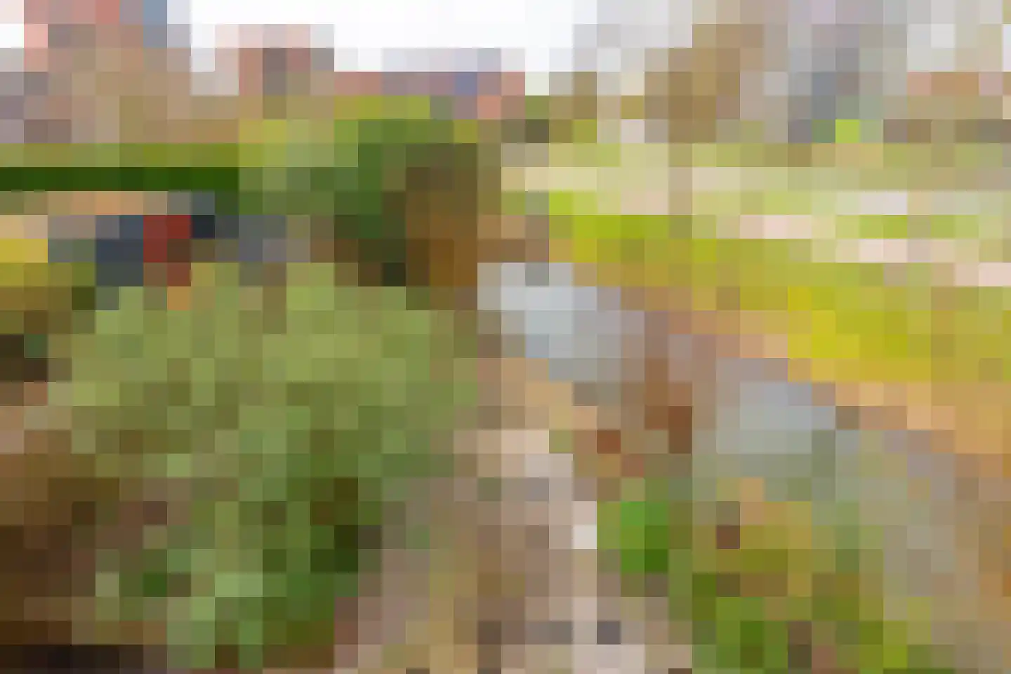 Kaneelhof 7 Utrecht thumbnail 32