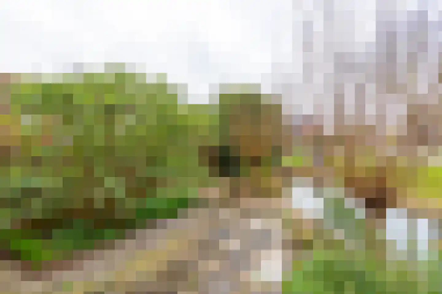 Kaneelhof 7 Utrecht thumbnail 43