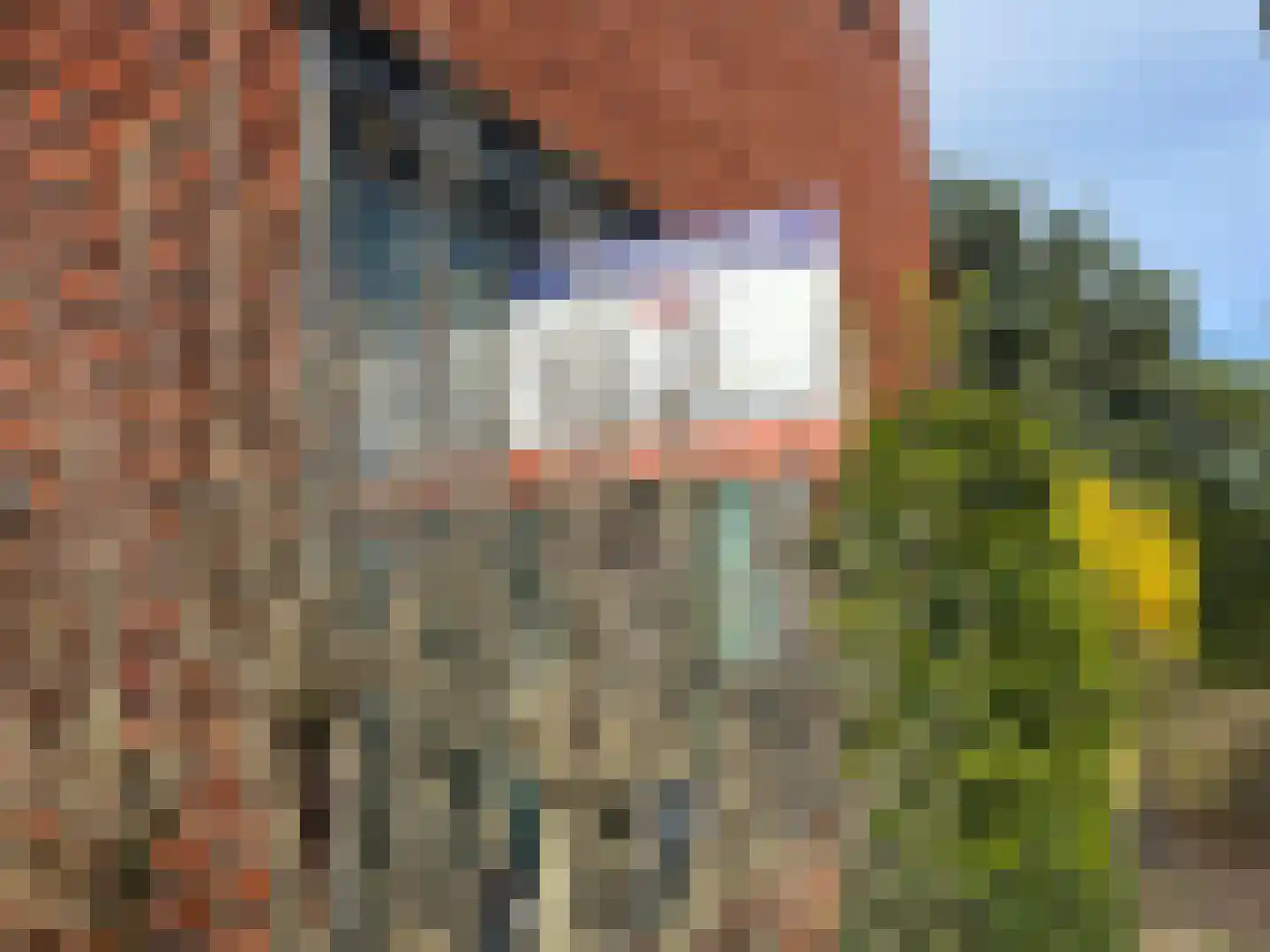 Kaneelhof 7 Utrecht thumbnail 44