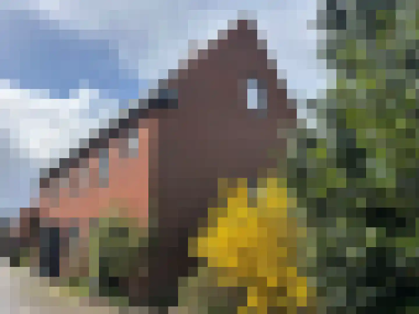 Kaneelhof 7 Utrecht thumbnail 46