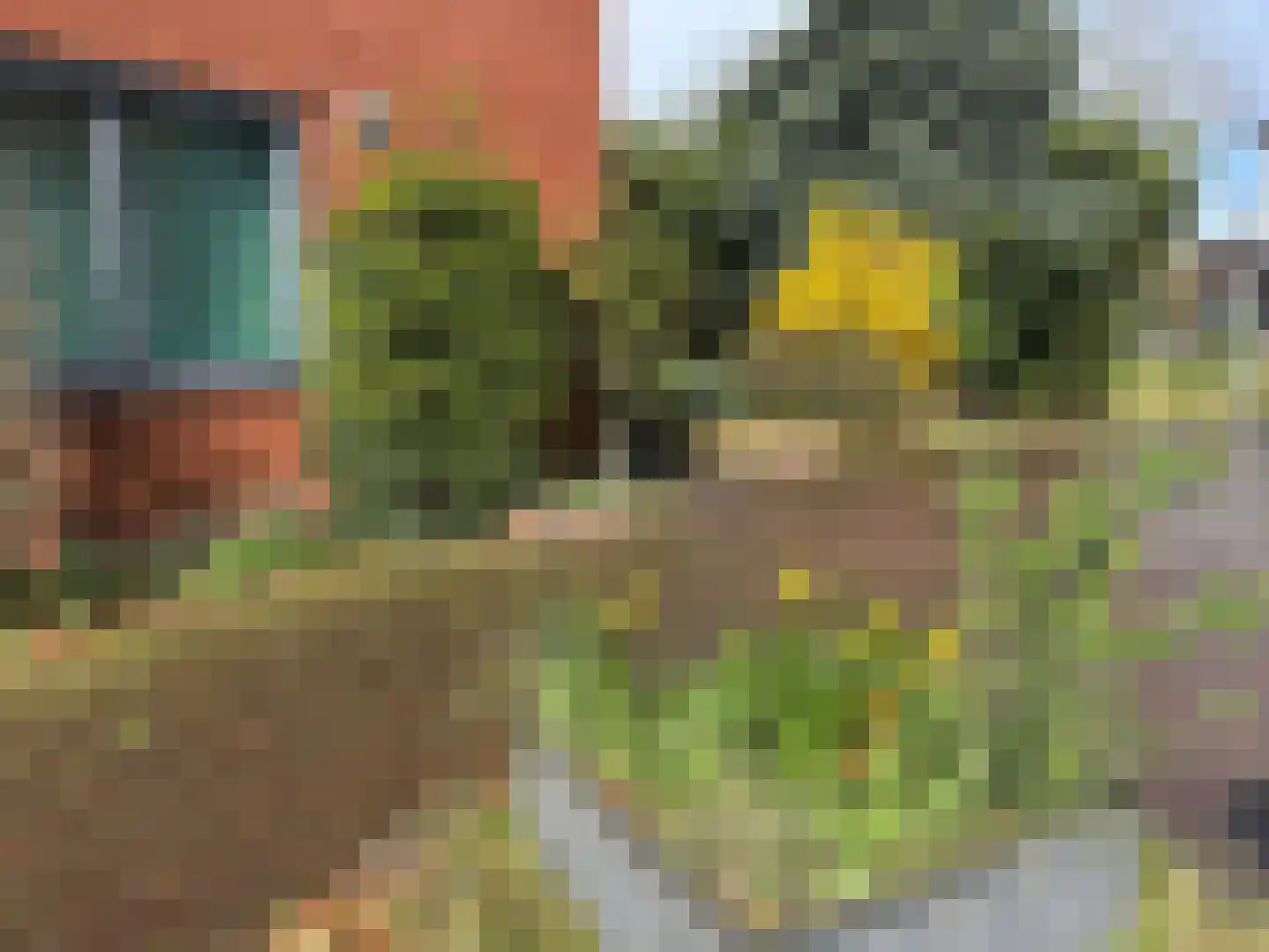 Kaneelhof 7 Utrecht thumbnail 47