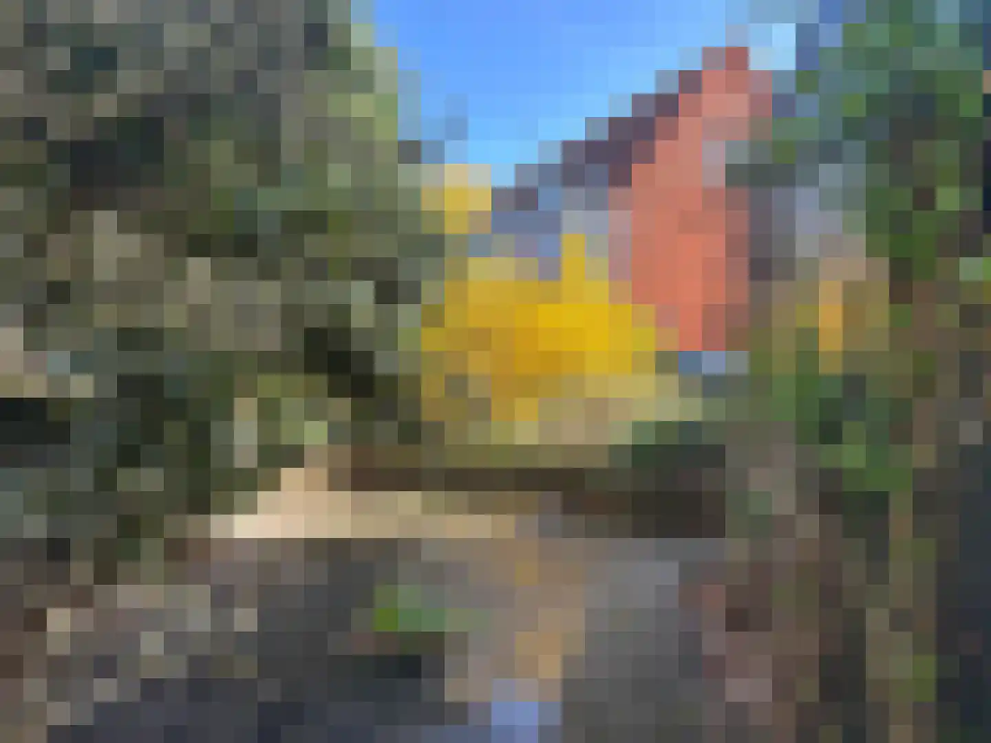 Kaneelhof 7 Utrecht thumbnail 48