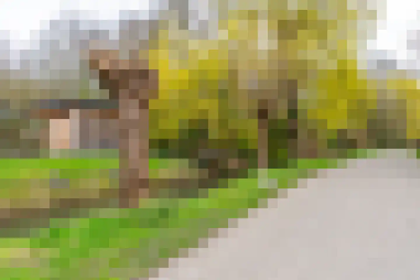 Kaneelhof 7 Utrecht thumbnail 50