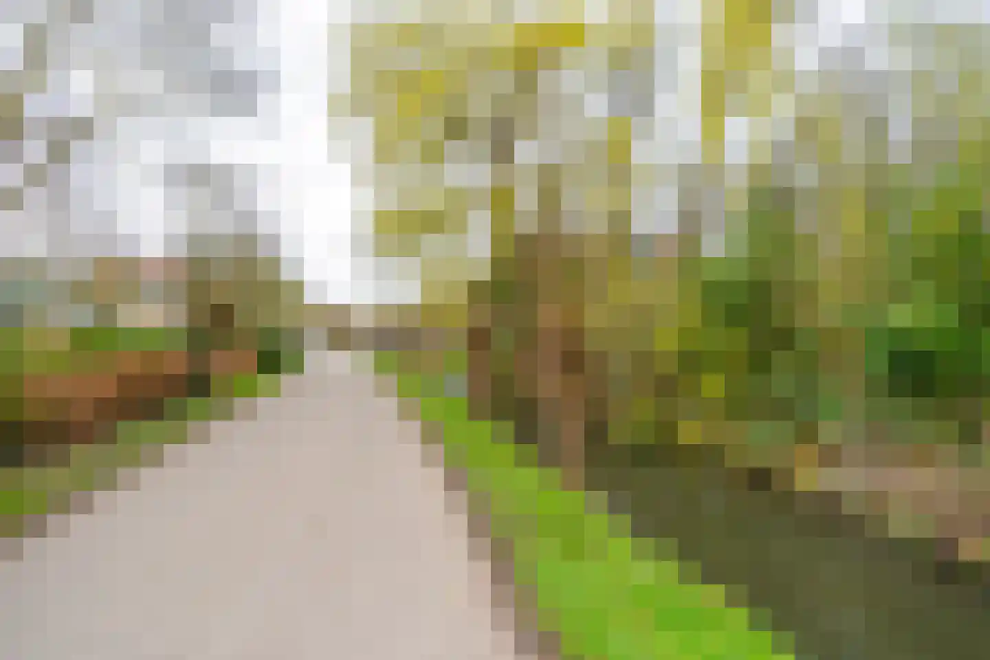 Kaneelhof 7 Utrecht thumbnail 52