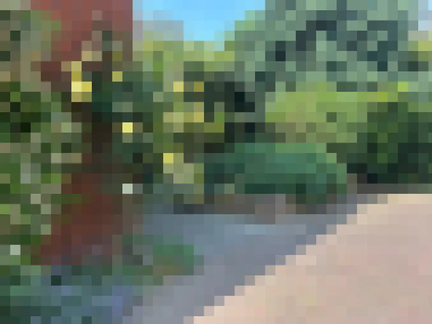Kaneelhof 7 Utrecht thumbnail 6