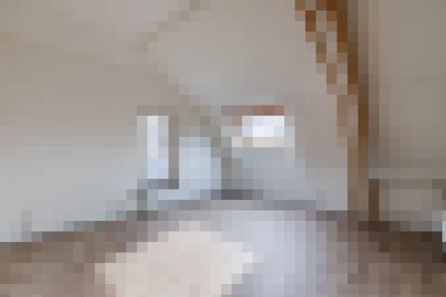 Kaneelstraat 25 Cuijk thumbnail 15