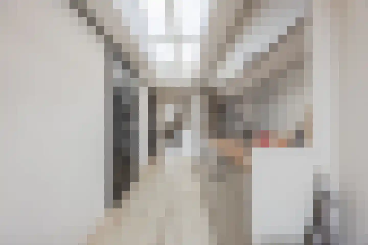 Kaneelstraat 4 a Cuijk thumbnail 12