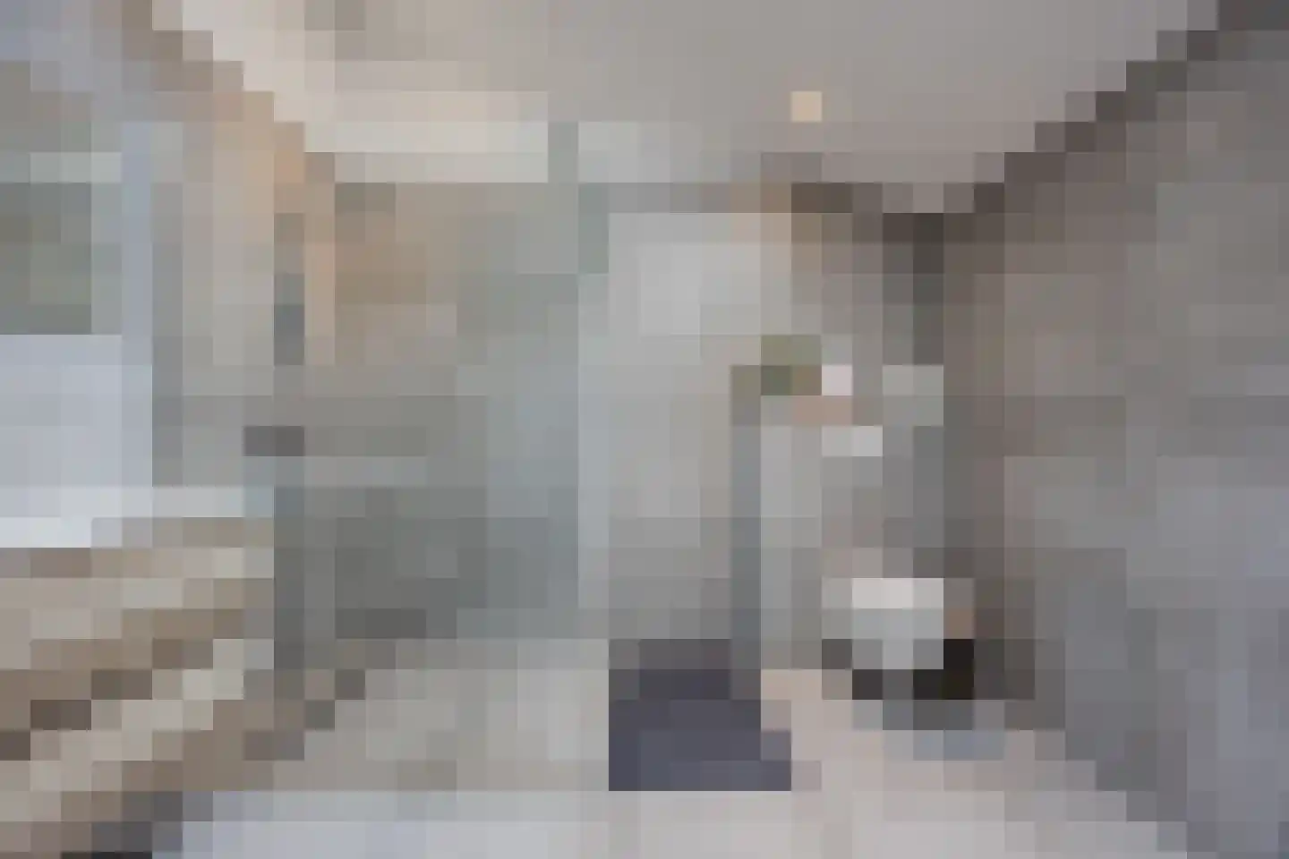 Kaneelstraat 4 a Cuijk thumbnail 20