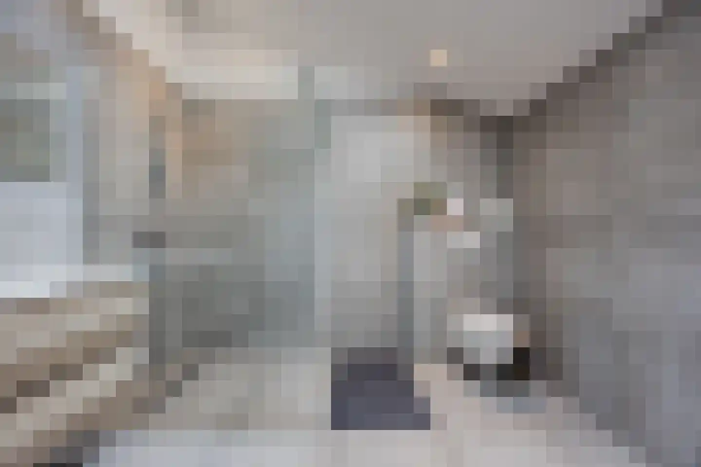 Kaneelstraat 4 a Cuijk thumbnail 4