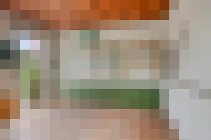 Kaneelstraat 41 a Cuijk thumbnail 31