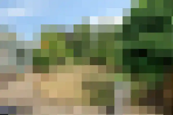 Kaneelstraat 41 a Cuijk thumbnail 33