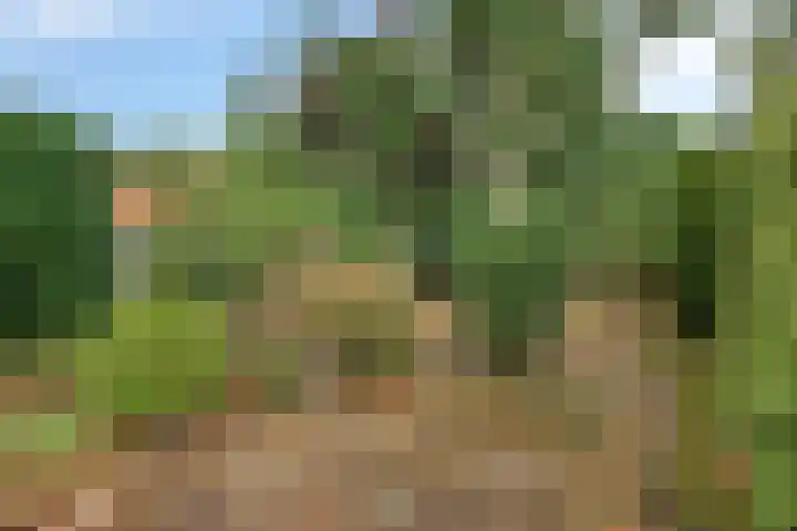 Kaneelstraat 41 a Cuijk thumbnail 36