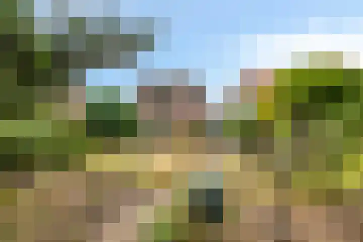 Kaneelstraat 41 a Cuijk thumbnail 38