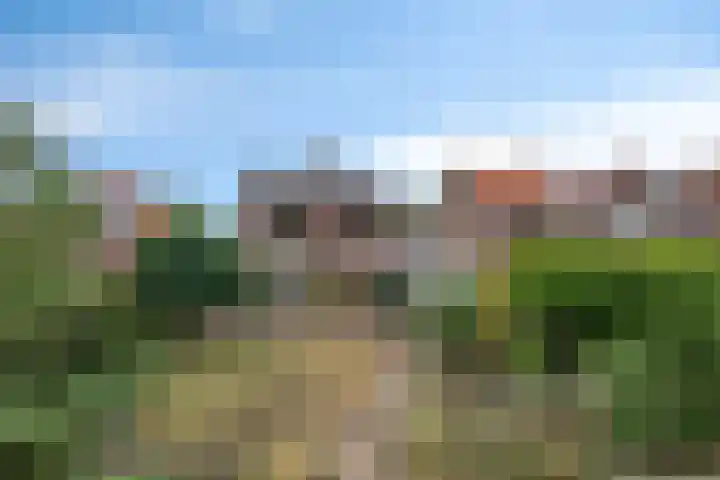 Kaneelstraat 41 a Cuijk thumbnail 39