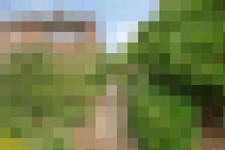 Kaneelstraat 41 a Cuijk thumbnail 8