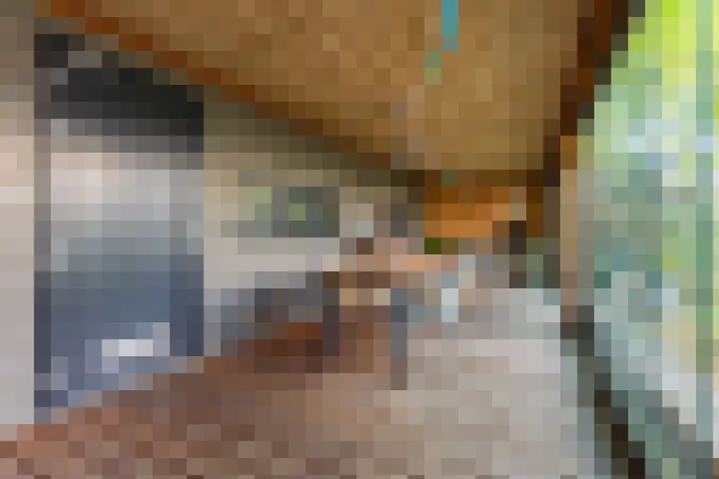 Kaneelstraat 53 Cuijk thumbnail 32