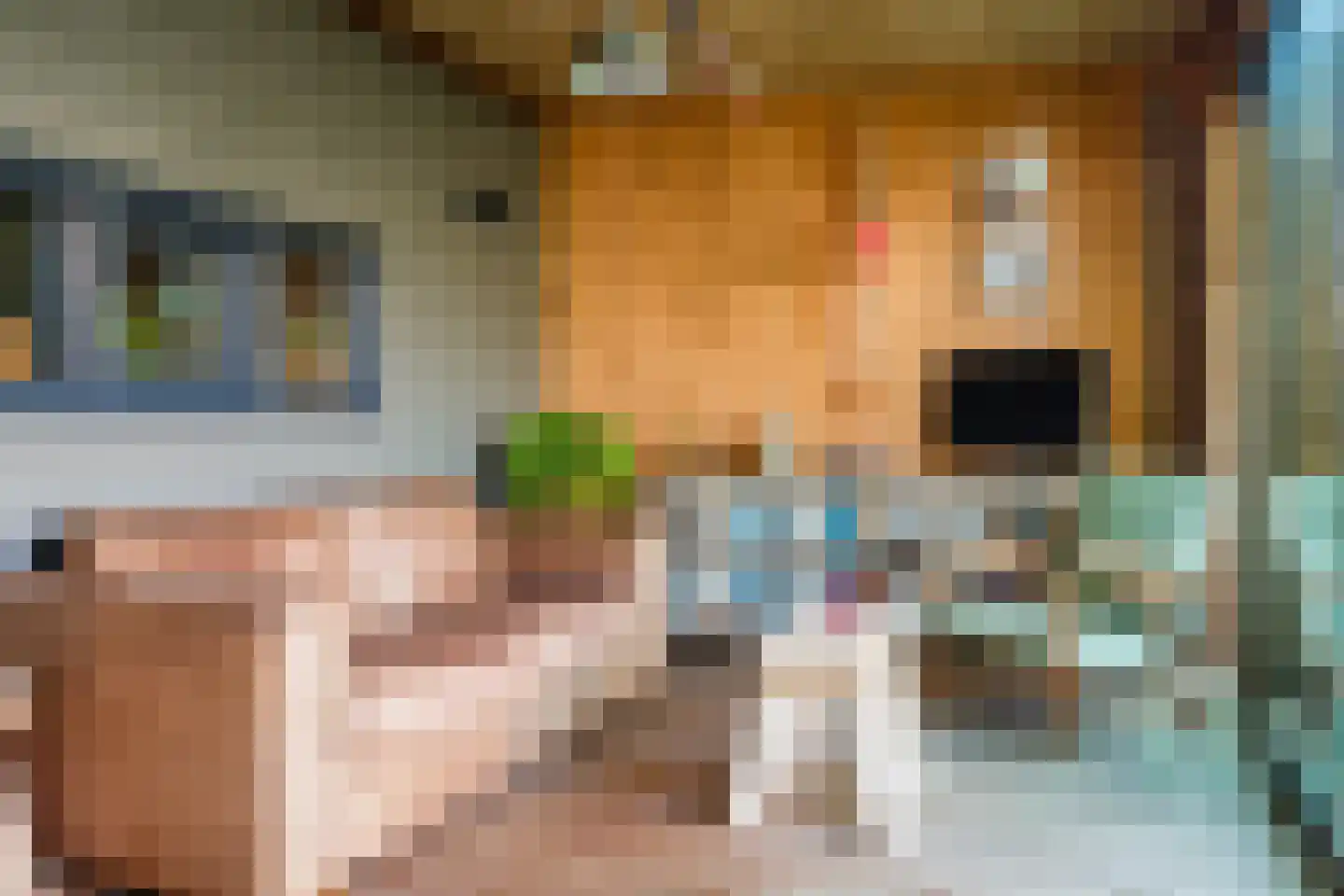 Kaneelstraat 53 Cuijk thumbnail 33