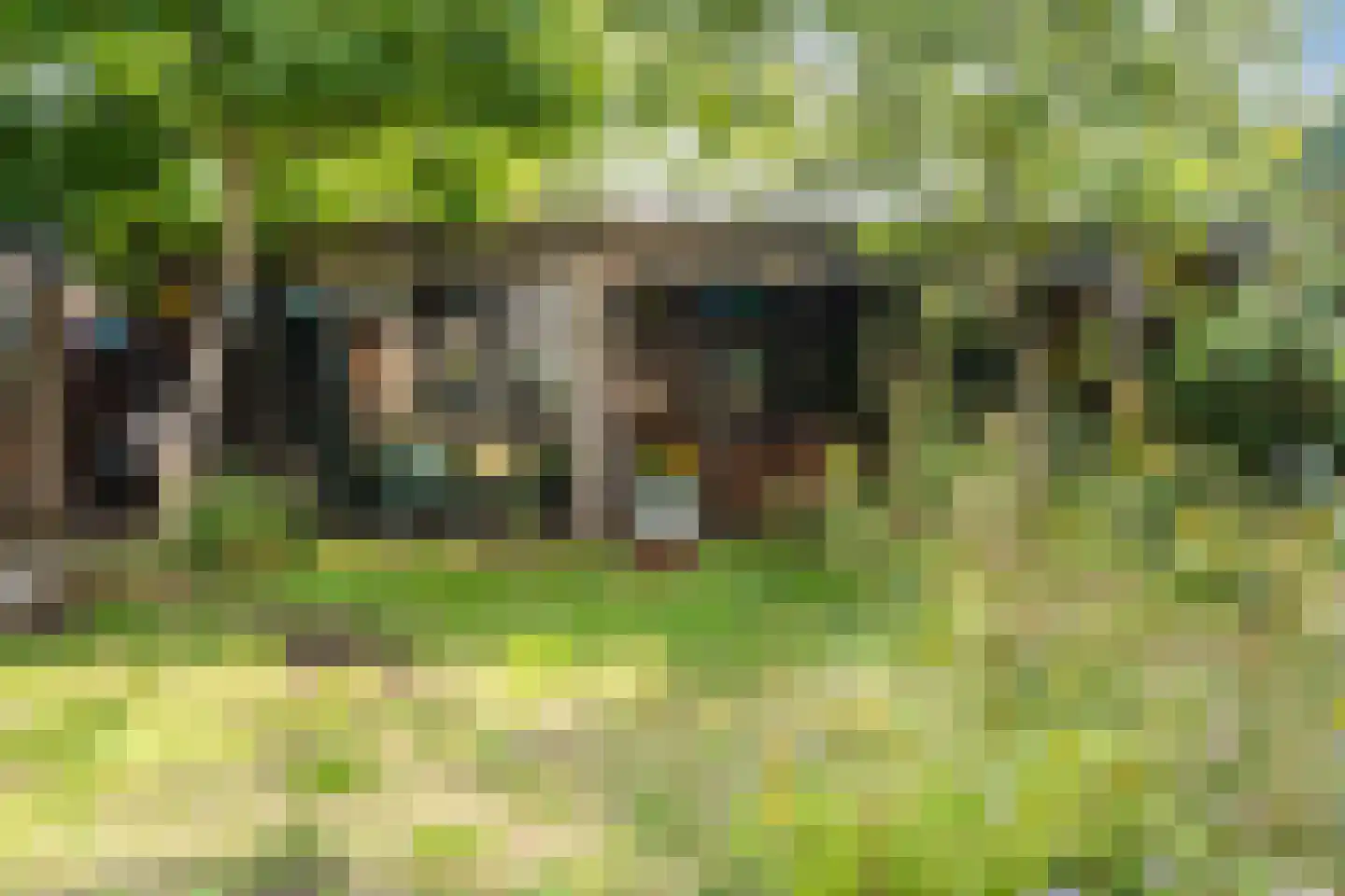 Kaneelstraat 53 Cuijk thumbnail 36