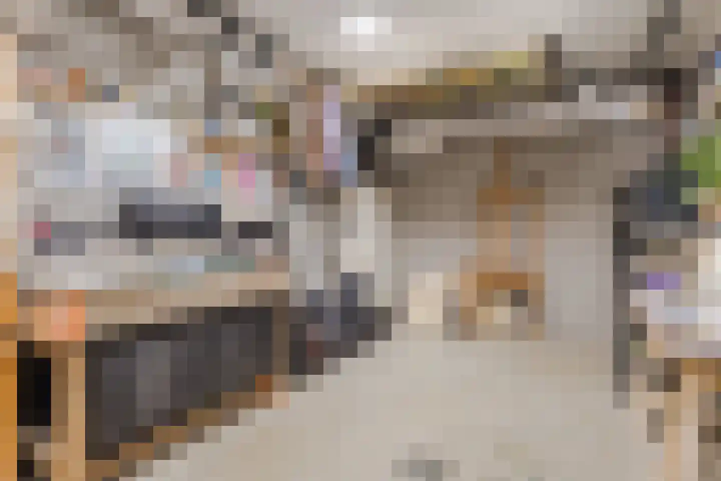Kaneelstraat 53 Cuijk thumbnail 38