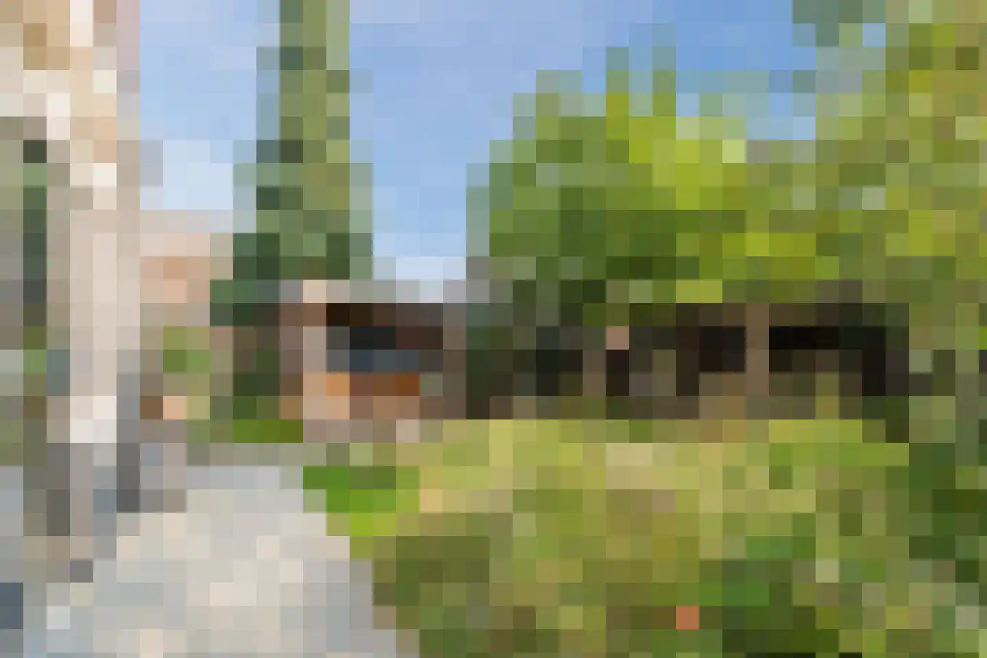 Kaneelstraat 53 Cuijk thumbnail 4