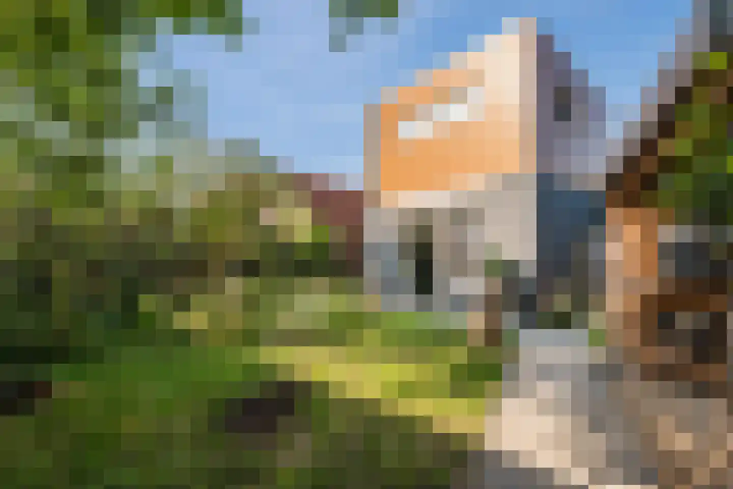 Kaneelstraat 53 Cuijk thumbnail 6