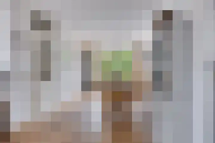 Kaneelveld 7 Veghel thumbnail 11