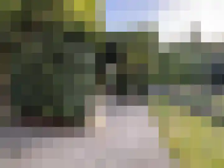 Kaneelveld 7 Veghel thumbnail 37