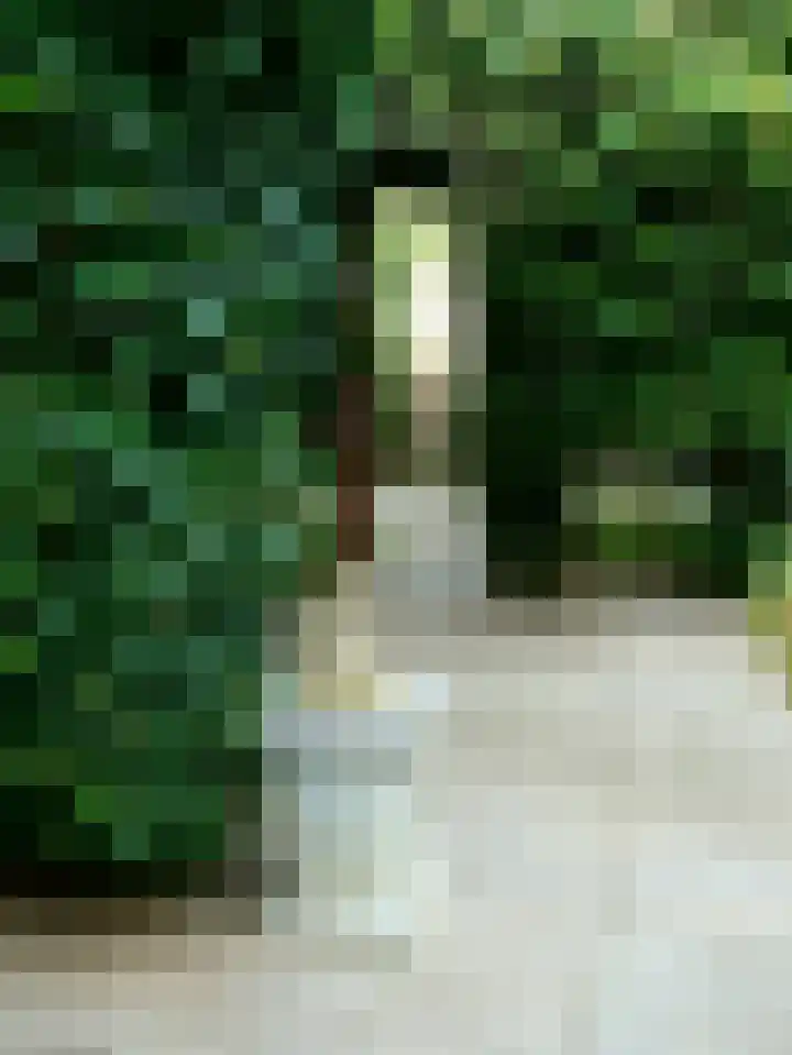 Kaneelveld 7 Veghel thumbnail 38