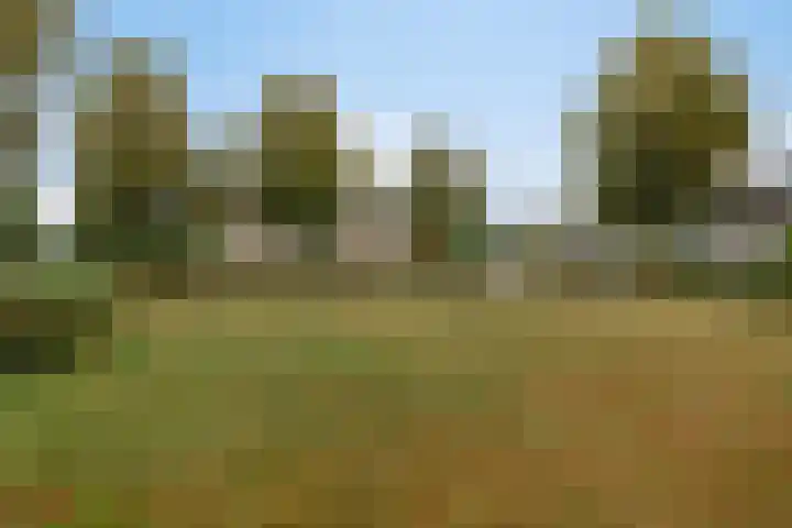 Kaneelveld 7 Veghel thumbnail 41