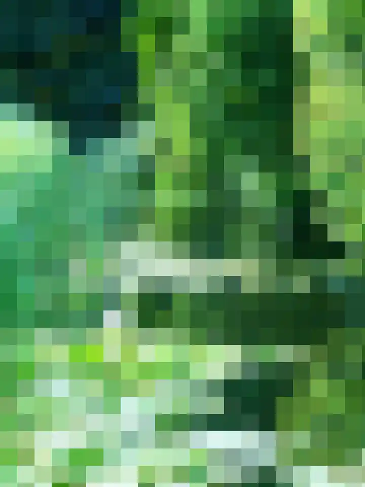 Kaneelveld 7 Veghel thumbnail 42