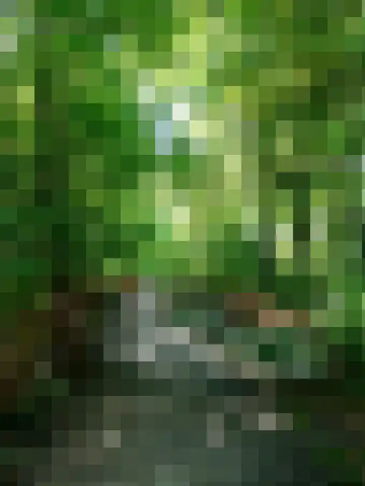 Kaneelveld 7 Veghel thumbnail 43