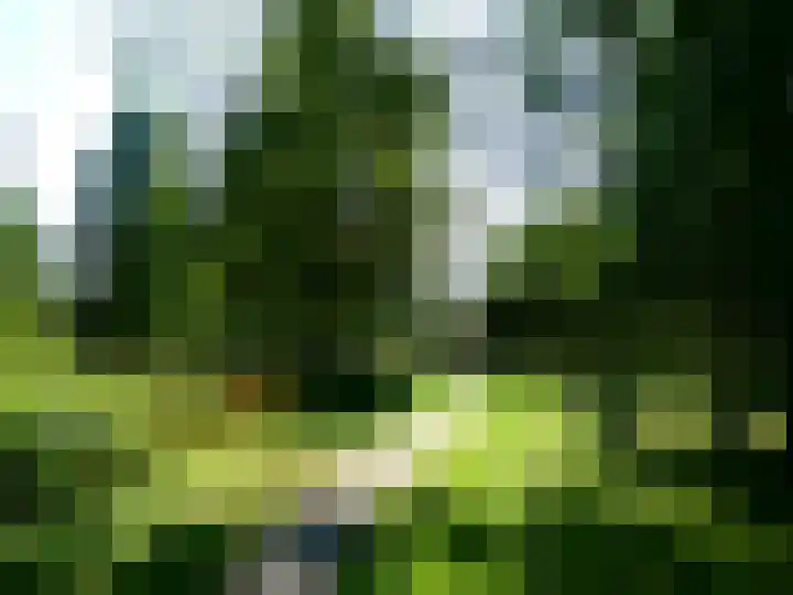 Kaneelveld 7 Veghel thumbnail 44