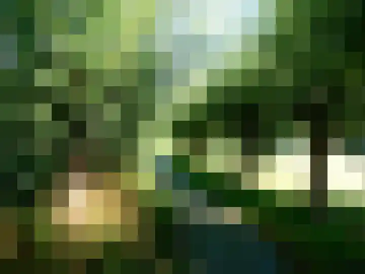 Kaneelveld 7 Veghel thumbnail 46