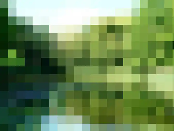 Kaneelveld 7 Veghel thumbnail 48